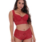 Conjunto charmoso em renda - Anita