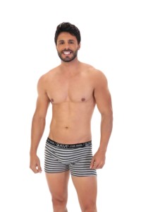 Cueca Boxer Hamilton