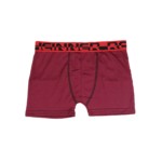 Cueca boxer Erick