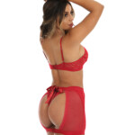 Conjunto sensual sem bojo com Saia transparente rubi costas