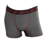 Cueca Boxer Mescla