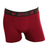 Cueca Boxer - Vitor