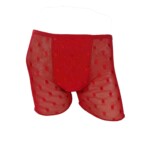 Cueca Boxer em Tule