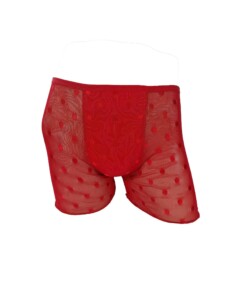 Cueca Boxer em Tule